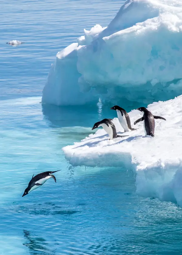 Antarctica